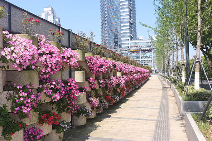 寧波中山路